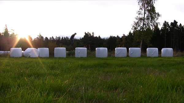 Across the Dotted Line, 2010, video still<br><br>Go to menu, click VIDEOS, to watch excerpts<br><br>Departing from special relativity, I slow the time of the video down at the point where I hop between the center hay bales.