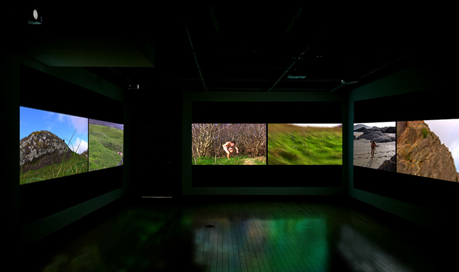 Hunting the Wren, 2012, installation view of three two-channel split screen video<br><br>Go to menu, click VIDEOS, to watch excerpts<br><br>Based upon the antient Irish custom of hunting the wren during the winter solstice, I endeavor to find a wren across the terrain in Ireland.