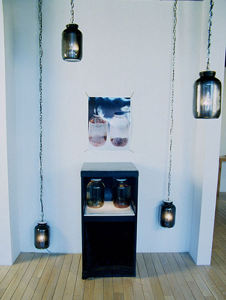 Jar Your Mind, 1993, installation view, C-Print, cow brains, wood light box, x-rays, jars, lights, chains, 72 x 96 x 60