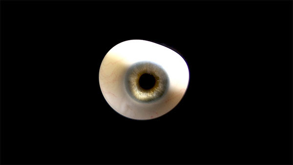 Keep An Eye On, 2016, video still<br><br>Go to menu, click VIDEOS, to watch excerpts<br><br>I explore the focus function of the camera with a box set of fifty antique prosthetic glass eyes.